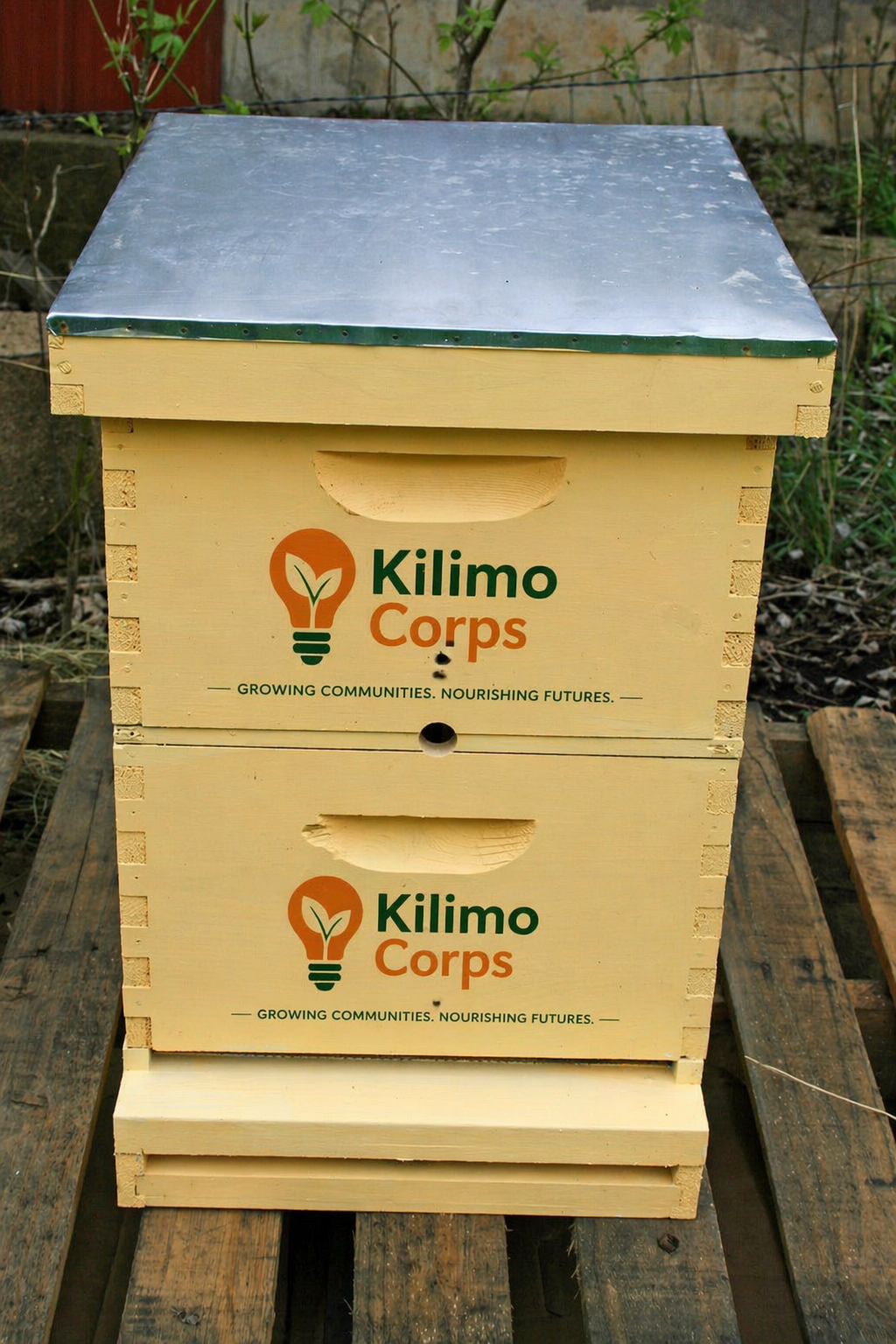 Beekeeping