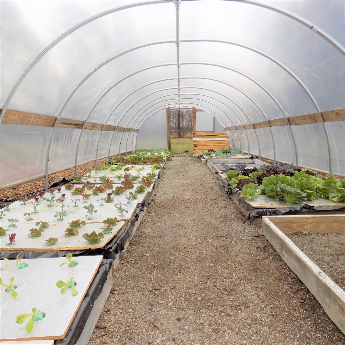 Greenhouse Installation